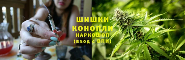 индика Вязьма