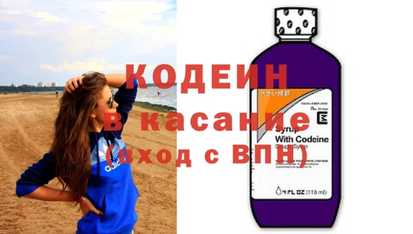 индика Вязьма