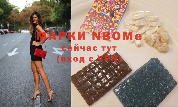 индика Вязьма