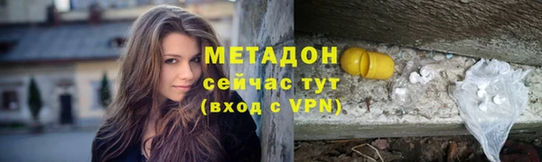 индика Вязьма