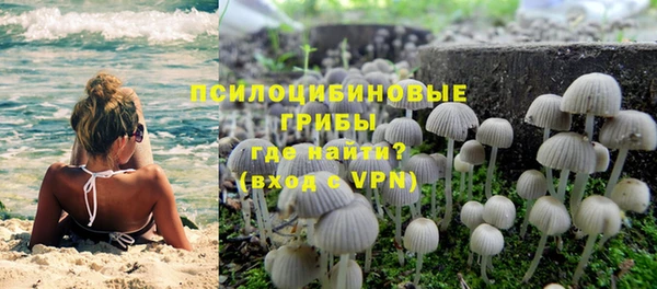 мескалин Вяземский