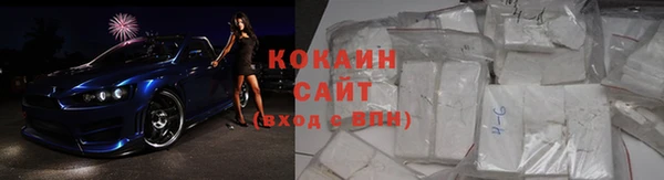 индика Вязьма