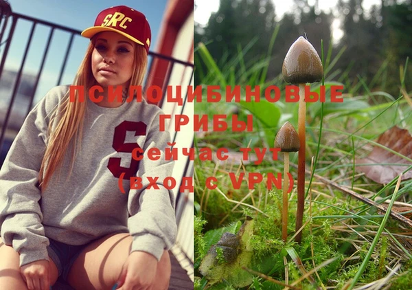 индика Вязьма