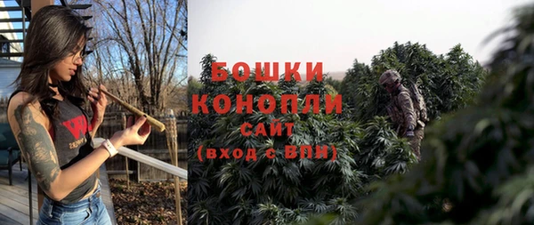 индика Вязьма
