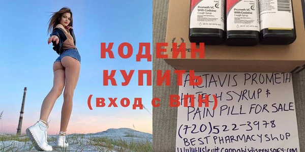 индика Вязьма