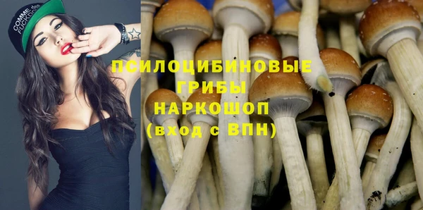 мескалин Вяземский
