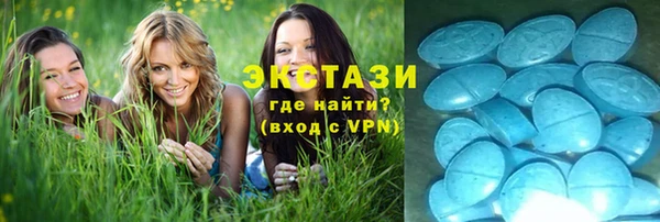 индика Вязьма
